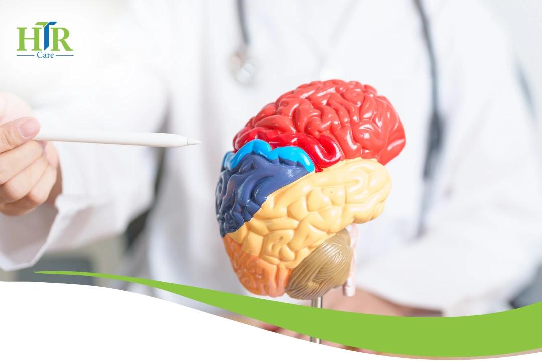 Stroke and dementia link